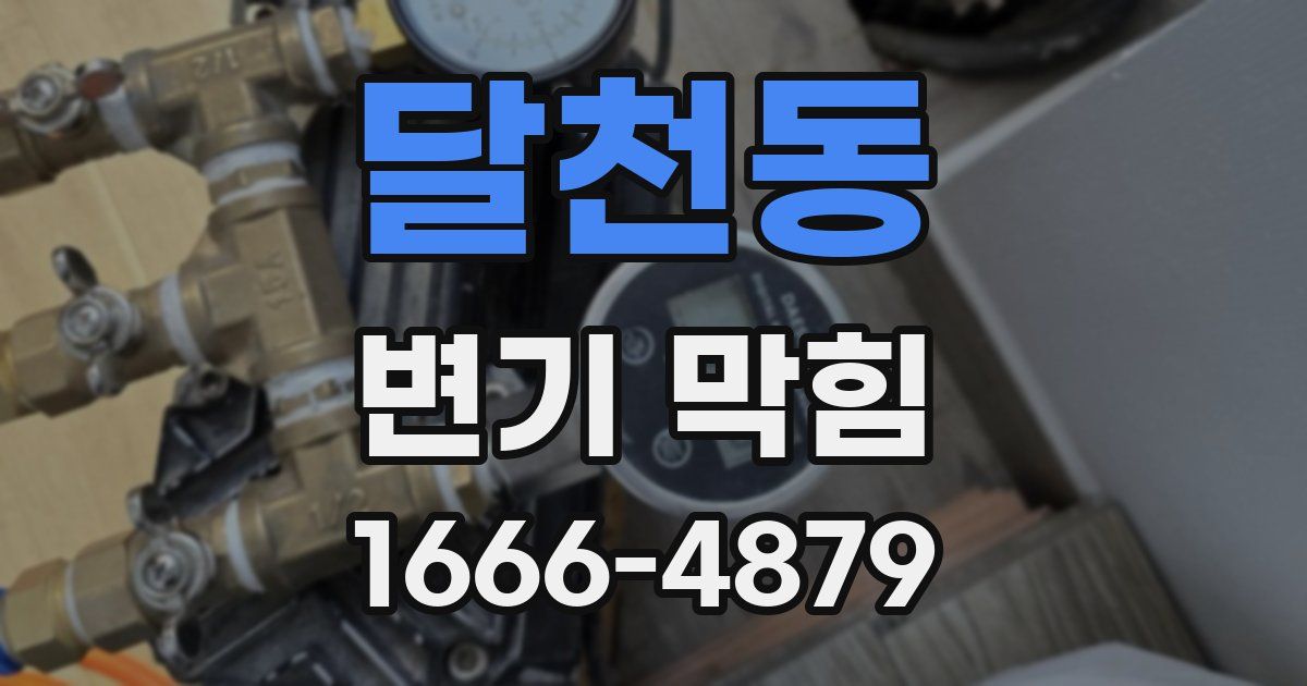 달천동 변기 막힘