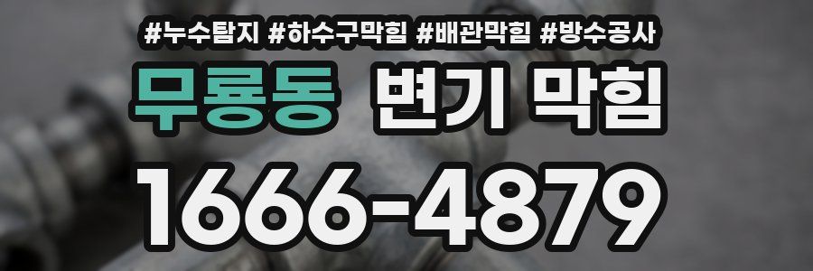 무룡동 변기 막힘
