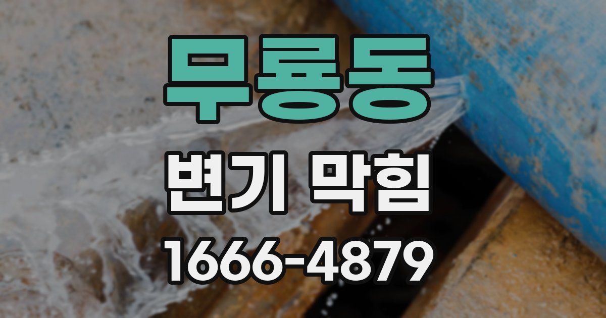 무룡동 변기 막힘