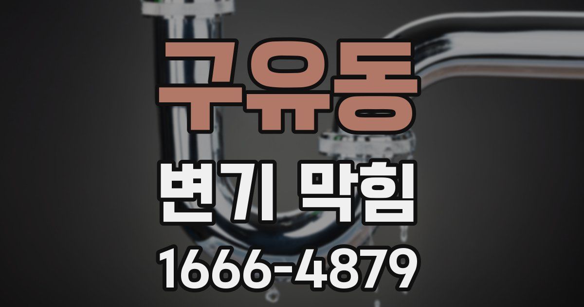 구유동 변기 막힘