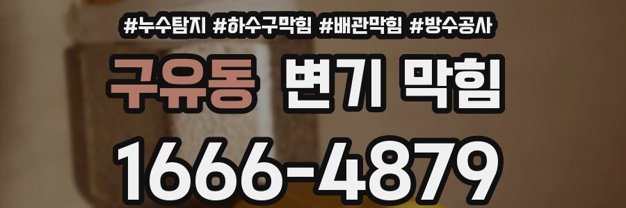 구유동 변기 막힘