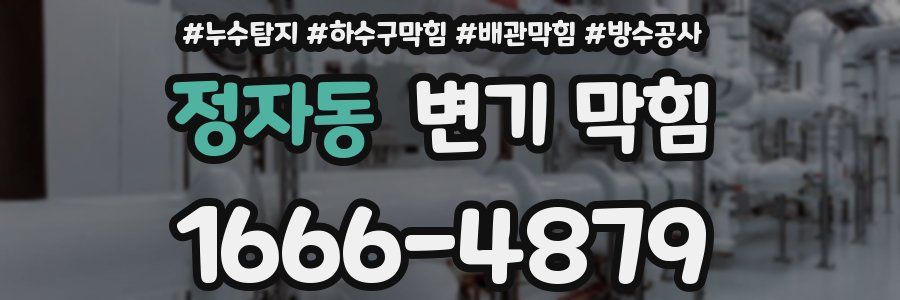 정자동 변기 막힘