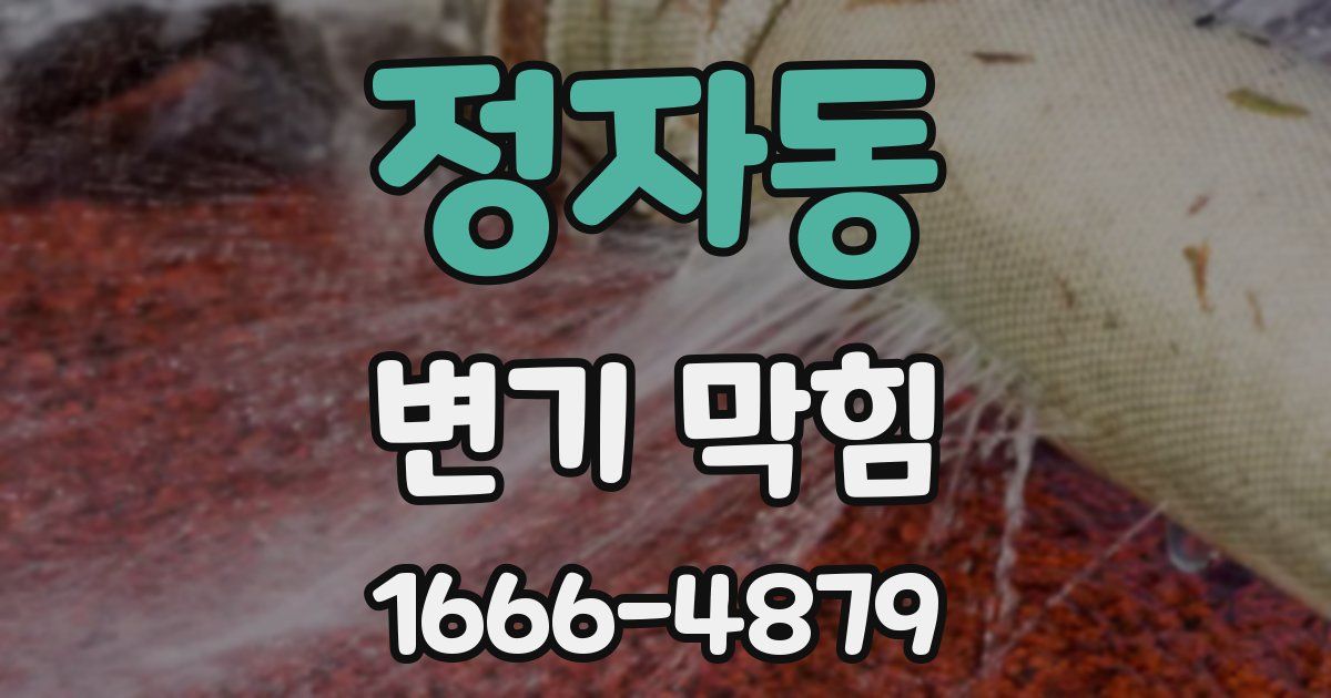 정자동 변기 막힘