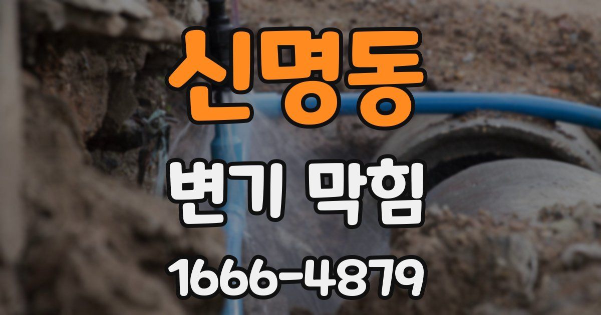 신명동 변기 막힘