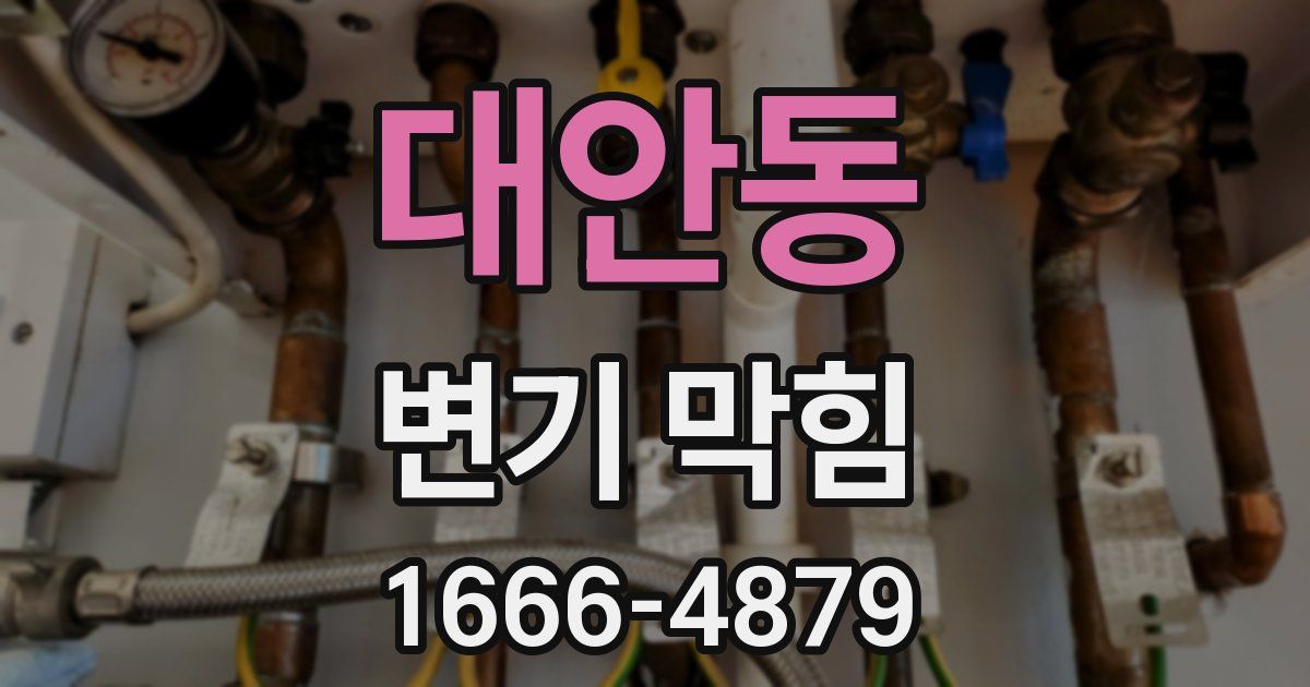 대안동 변기 막힘