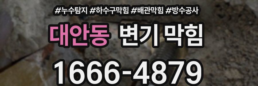 대안동 변기 막힘