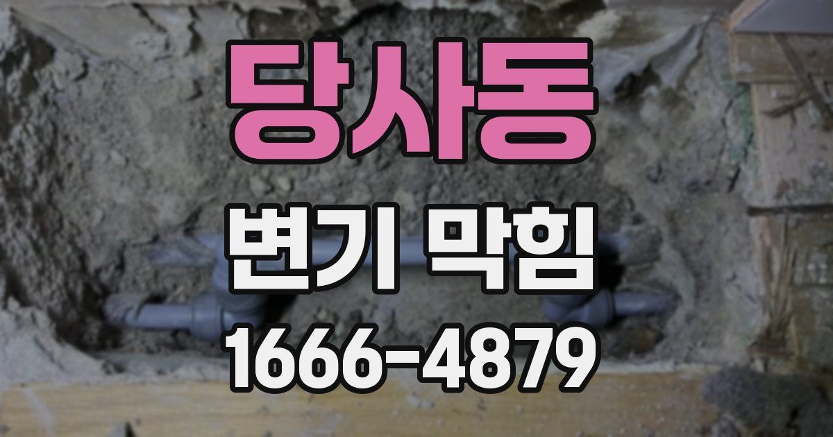 당사동 변기 막힘