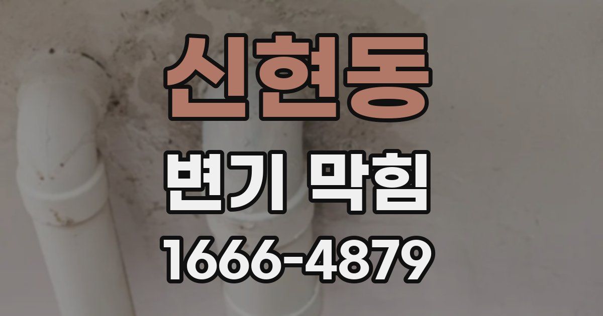 신현동 변기 막힘
