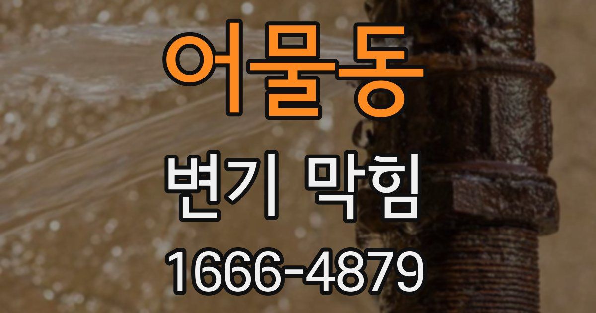 어물동 변기 막힘