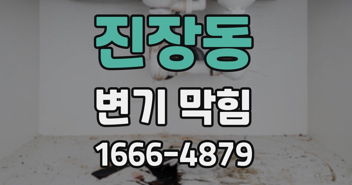 진장동 변기 막힘