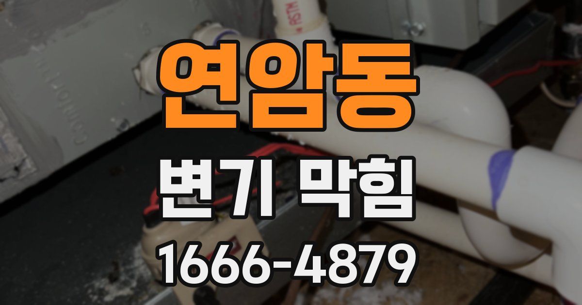 연암동 변기 막힘
