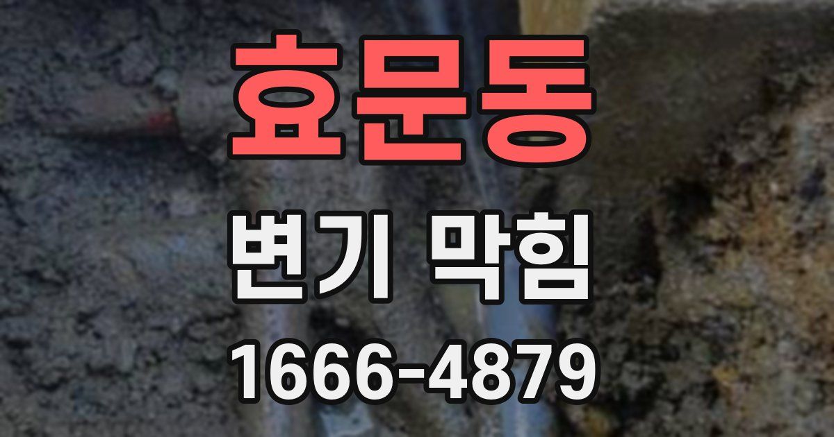 효문동 변기 막힘