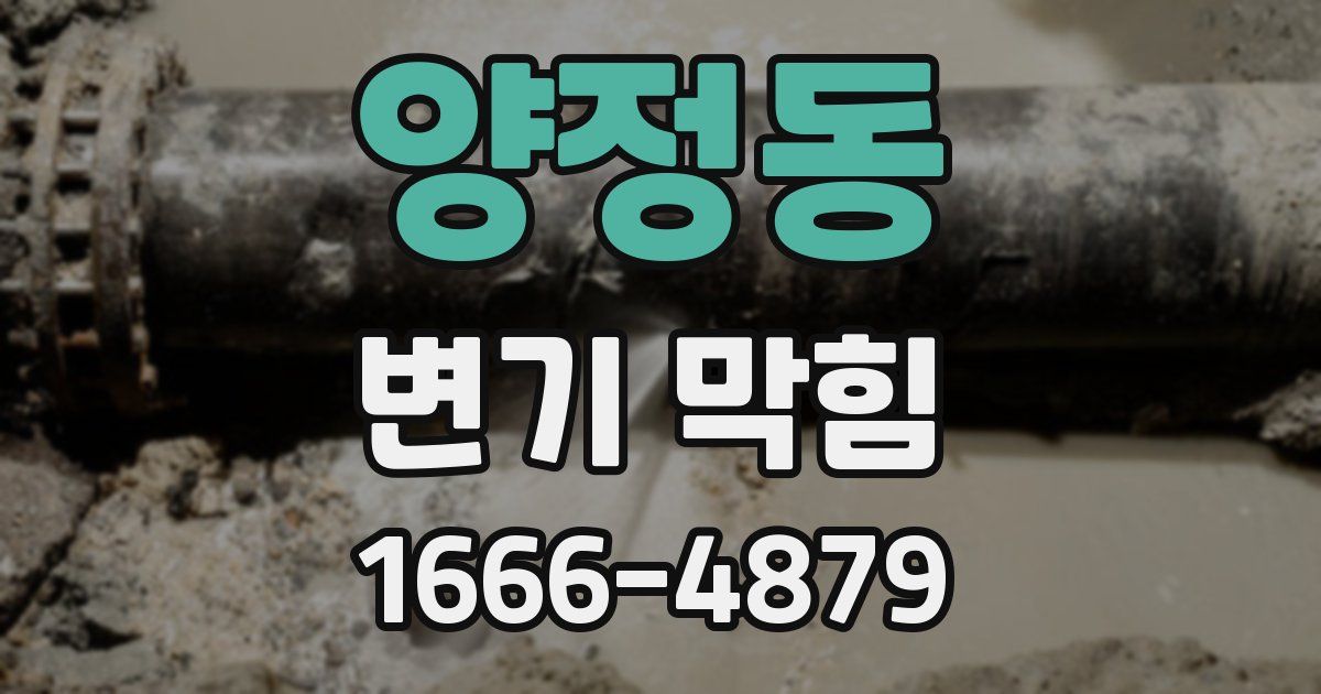 양정동 변기 막힘