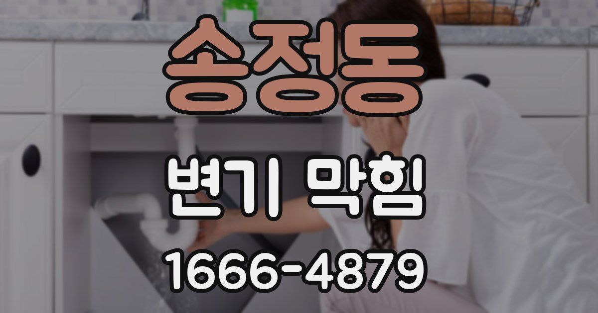 송정동 변기 막힘