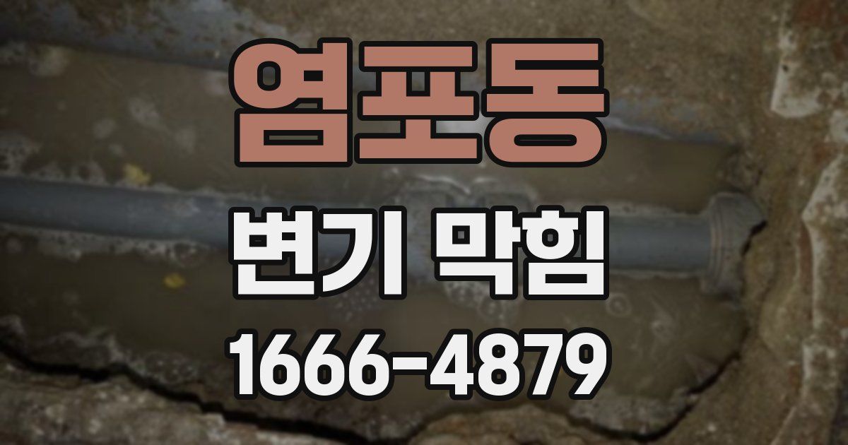 염포동 변기 막힘