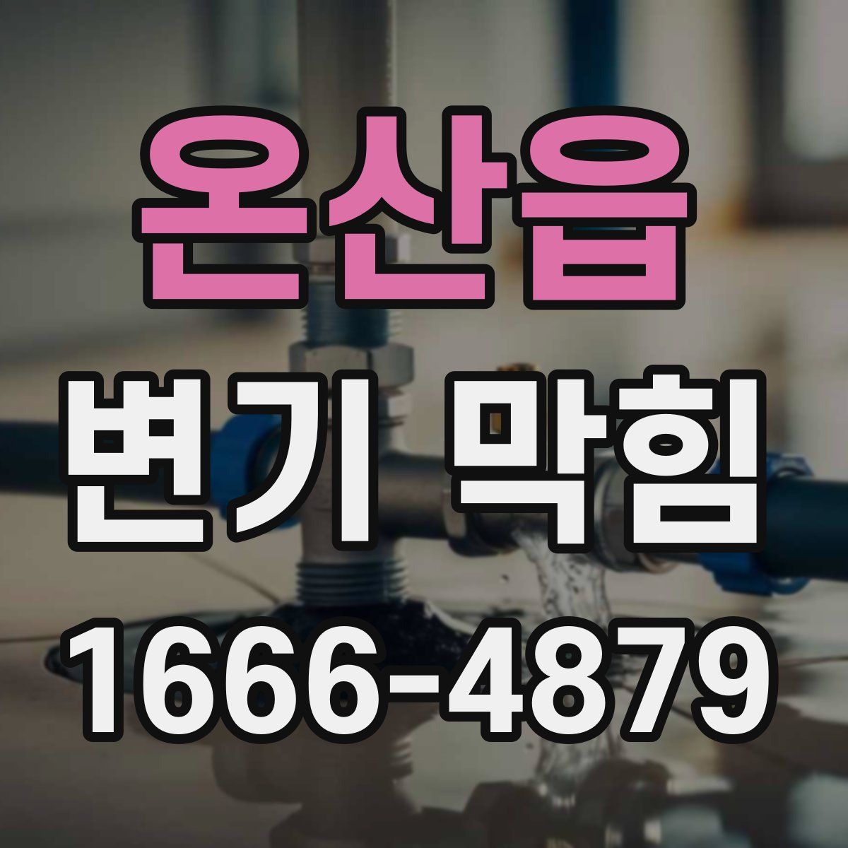 온산읍 변기 막힘