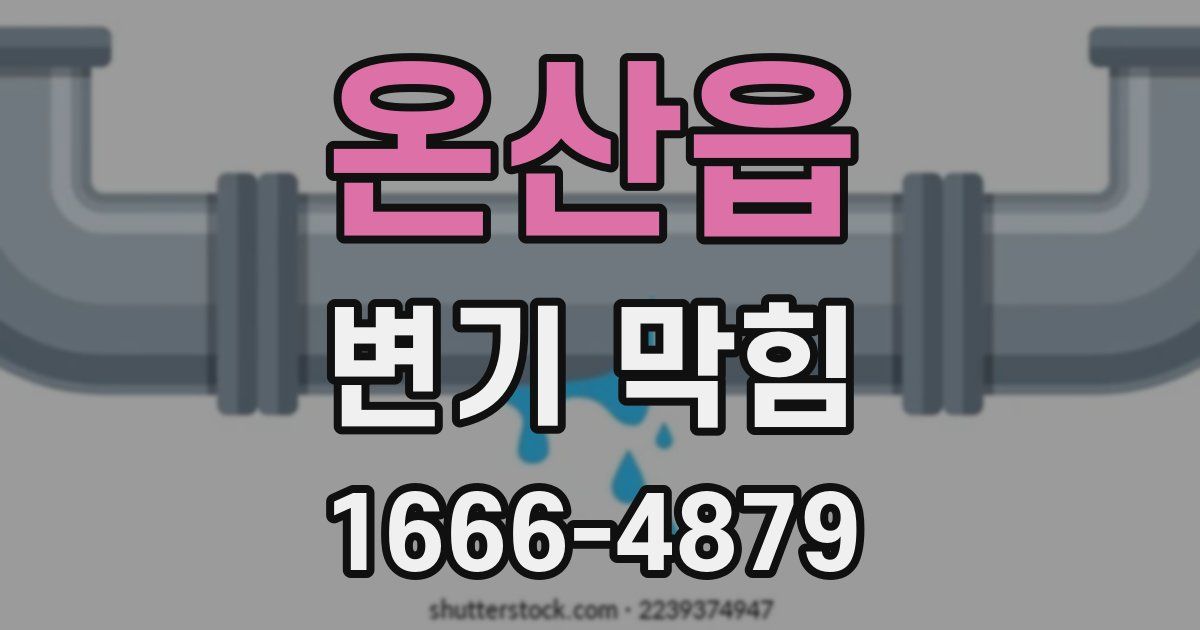 온산읍 변기 막힘