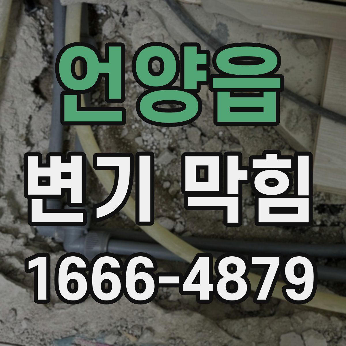 언양읍 변기 막힘