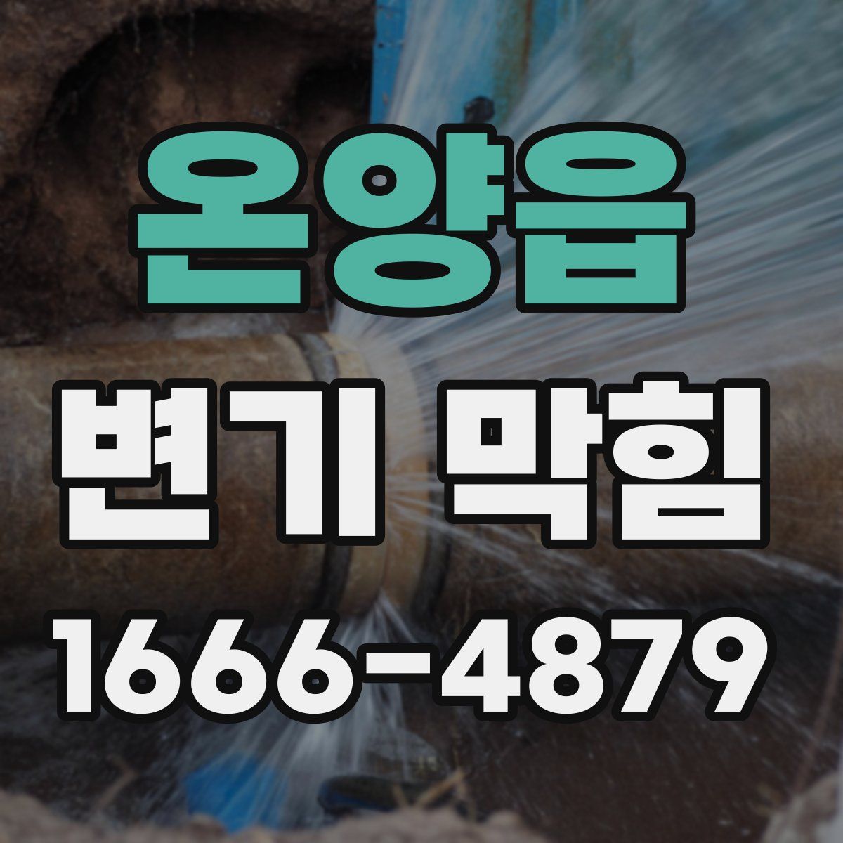온양읍 변기 막힘