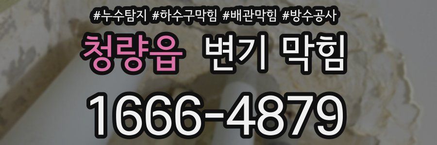 청량읍 변기 막힘