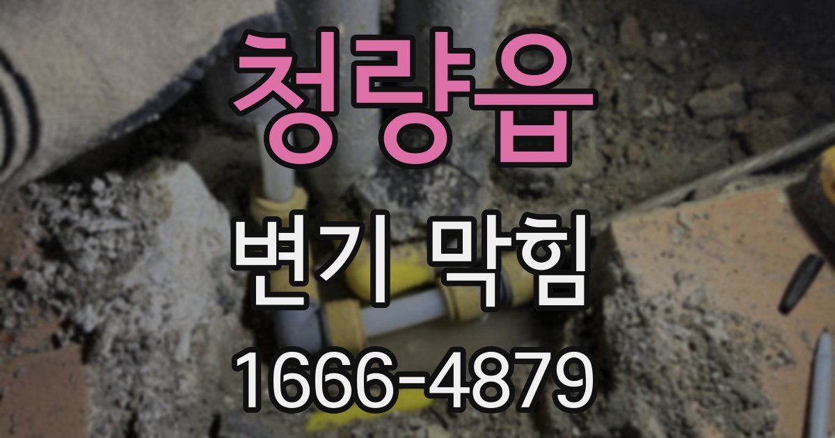 청량읍 변기 막힘