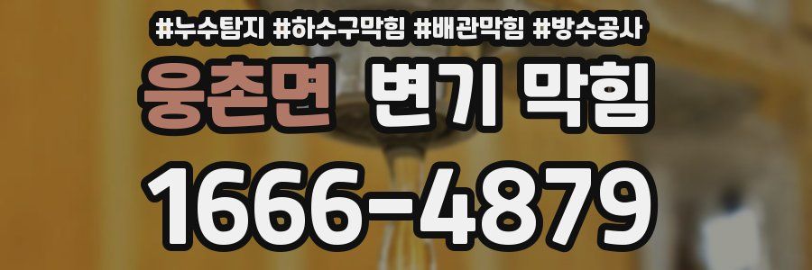 웅촌면 변기 막힘