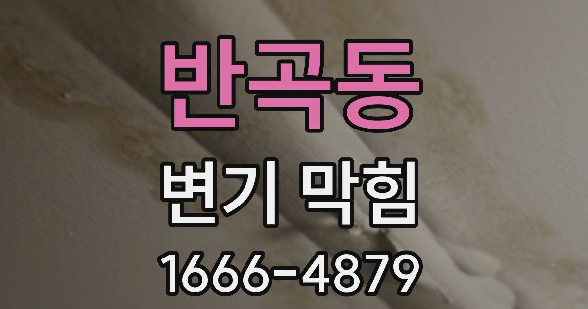 반곡동 변기 막힘