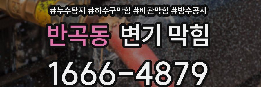 반곡동 변기 막힘