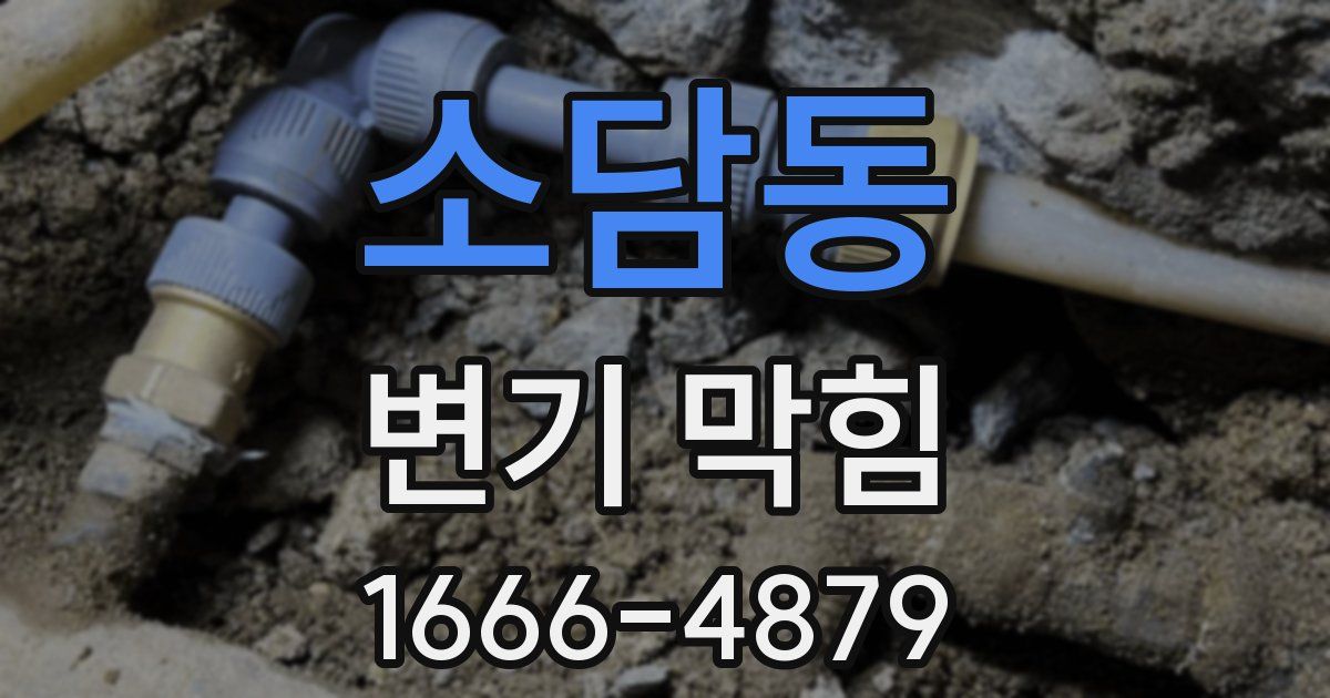 소담동 변기 막힘