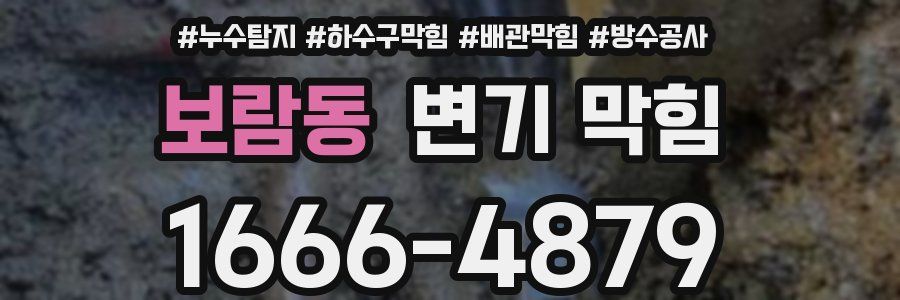 보람동 변기 막힘