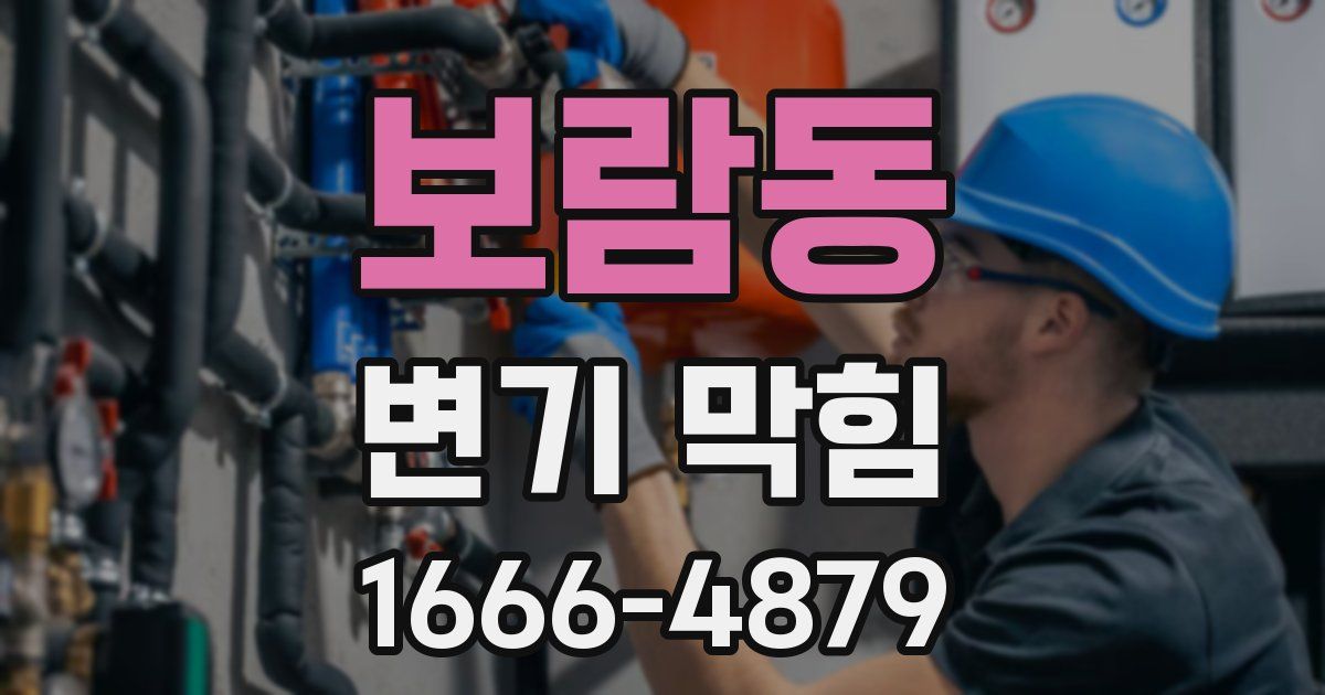 보람동 변기 막힘
