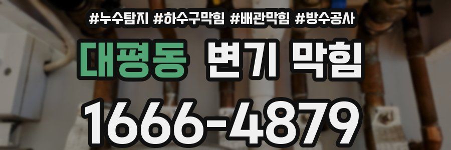 대평동 변기 막힘