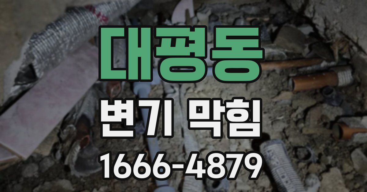 대평동 변기 막힘