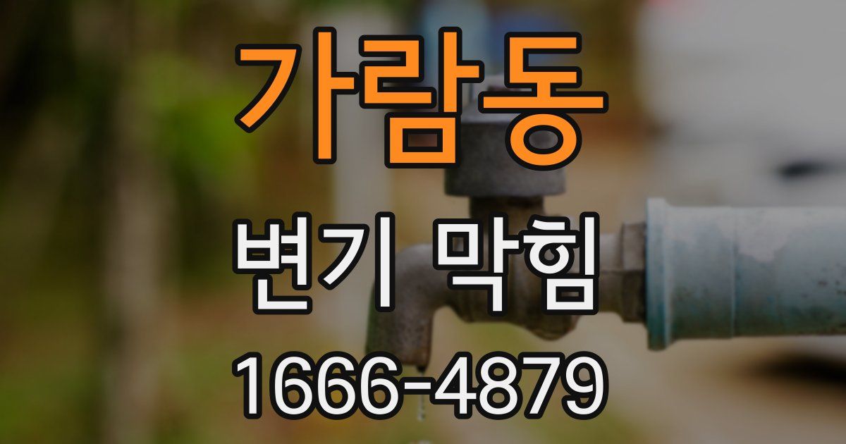 가람동 변기 막힘