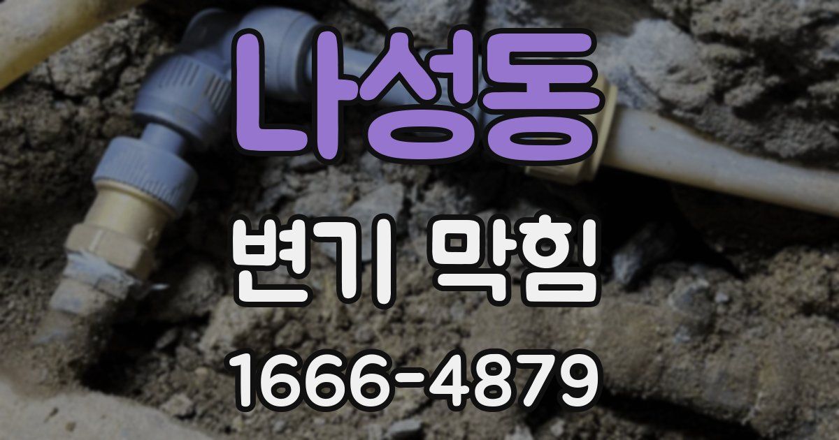 나성동 변기 막힘