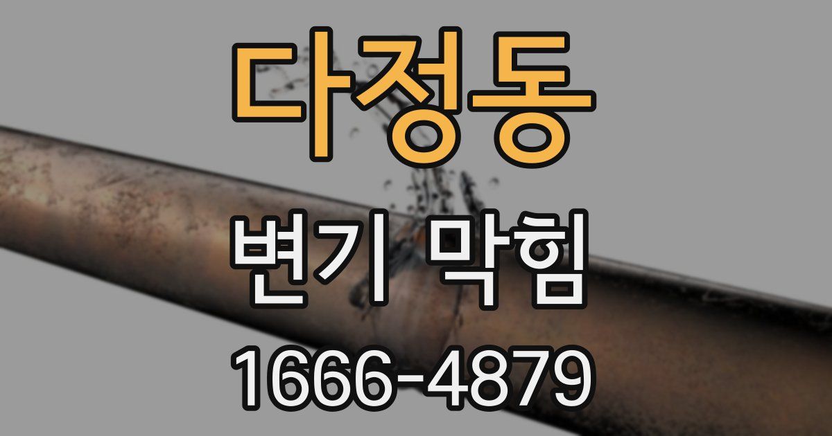 다정동 변기 막힘