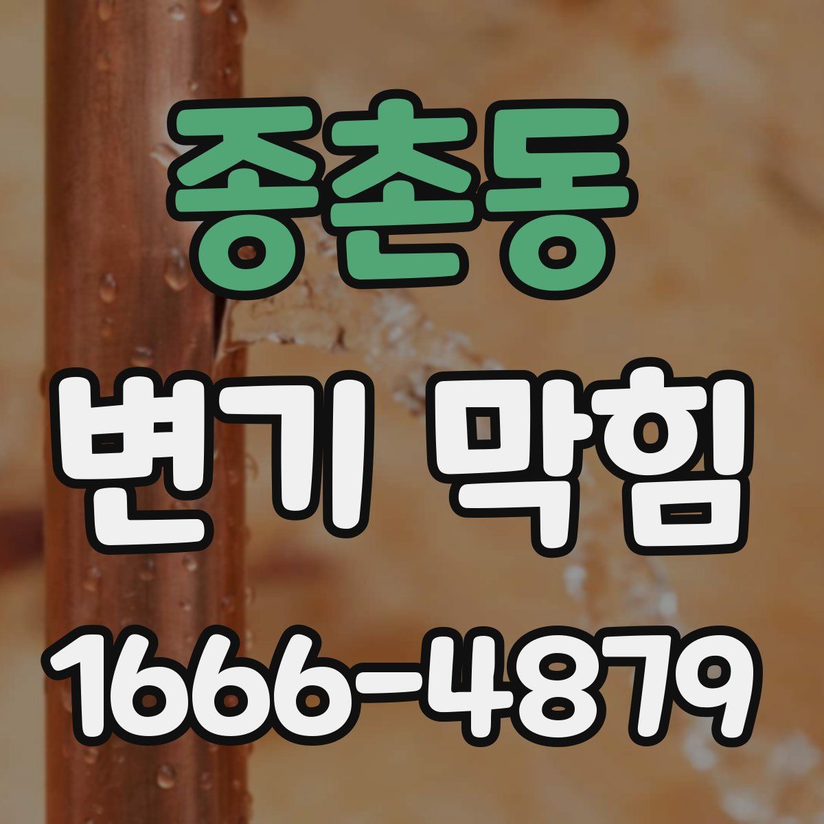 종촌동 변기 막힘