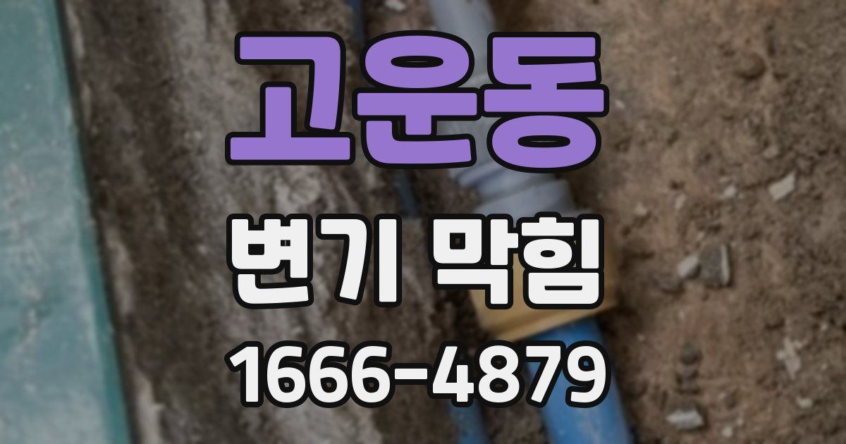 고운동 변기 막힘