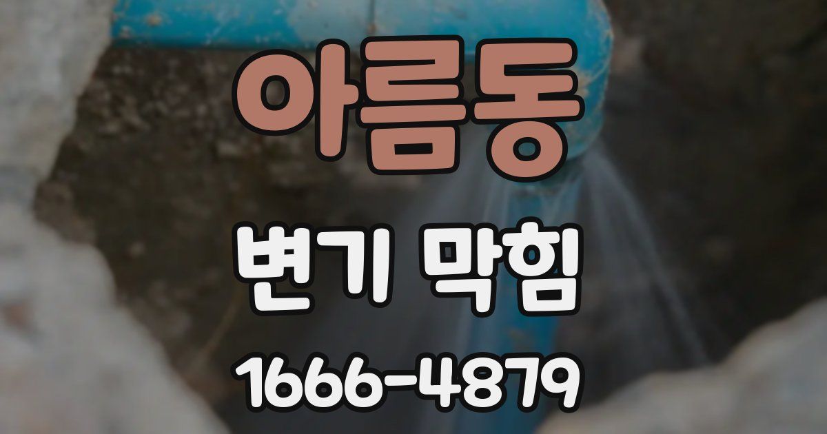 아름동 변기 막힘