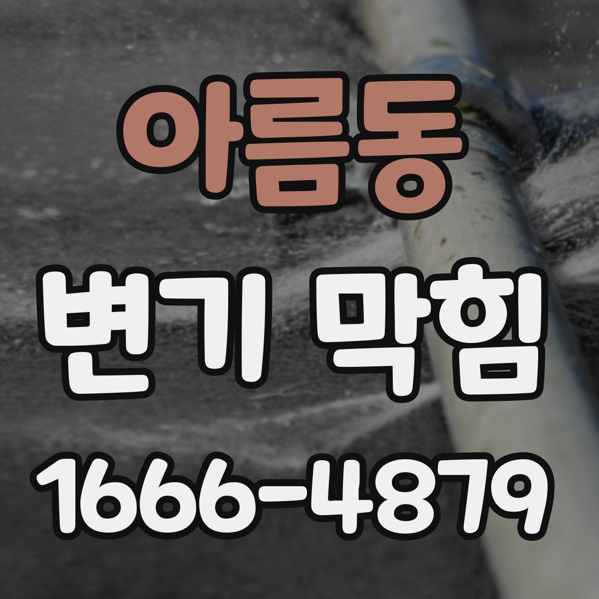 아름동 변기 막힘