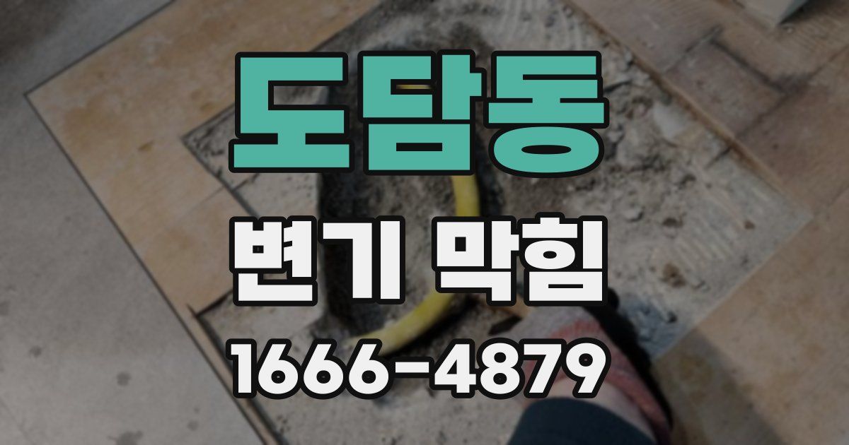 도담동 변기 막힘