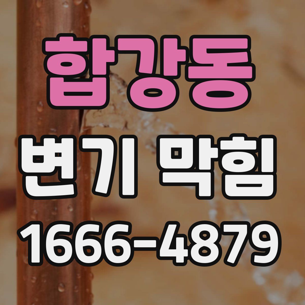 합강동 변기 막힘