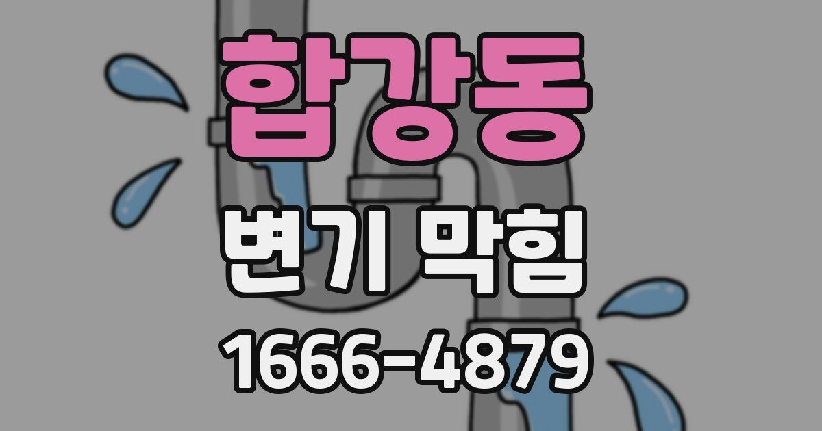 합강동 변기 막힘