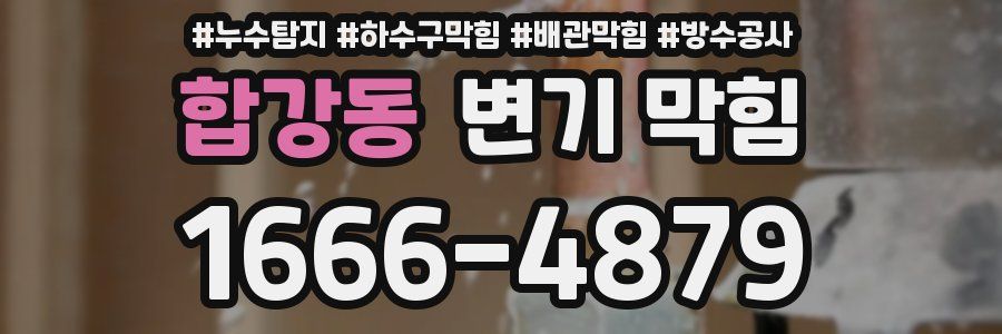 합강동 변기 막힘