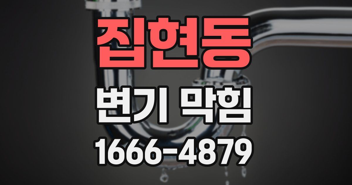 집현동 변기 막힘