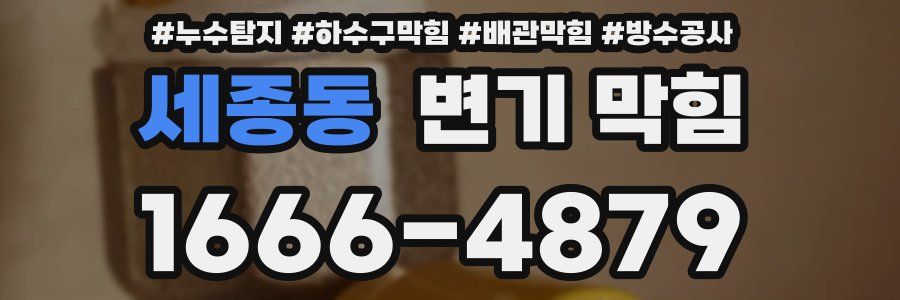 세종동 변기 막힘