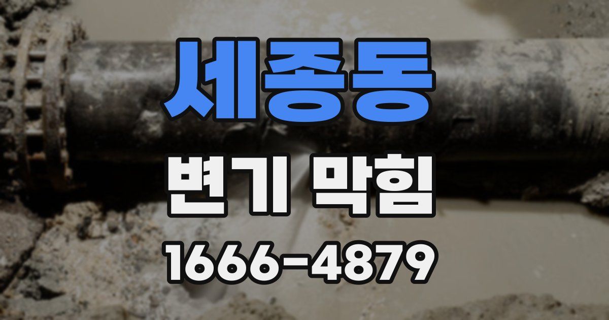 세종동 변기 막힘