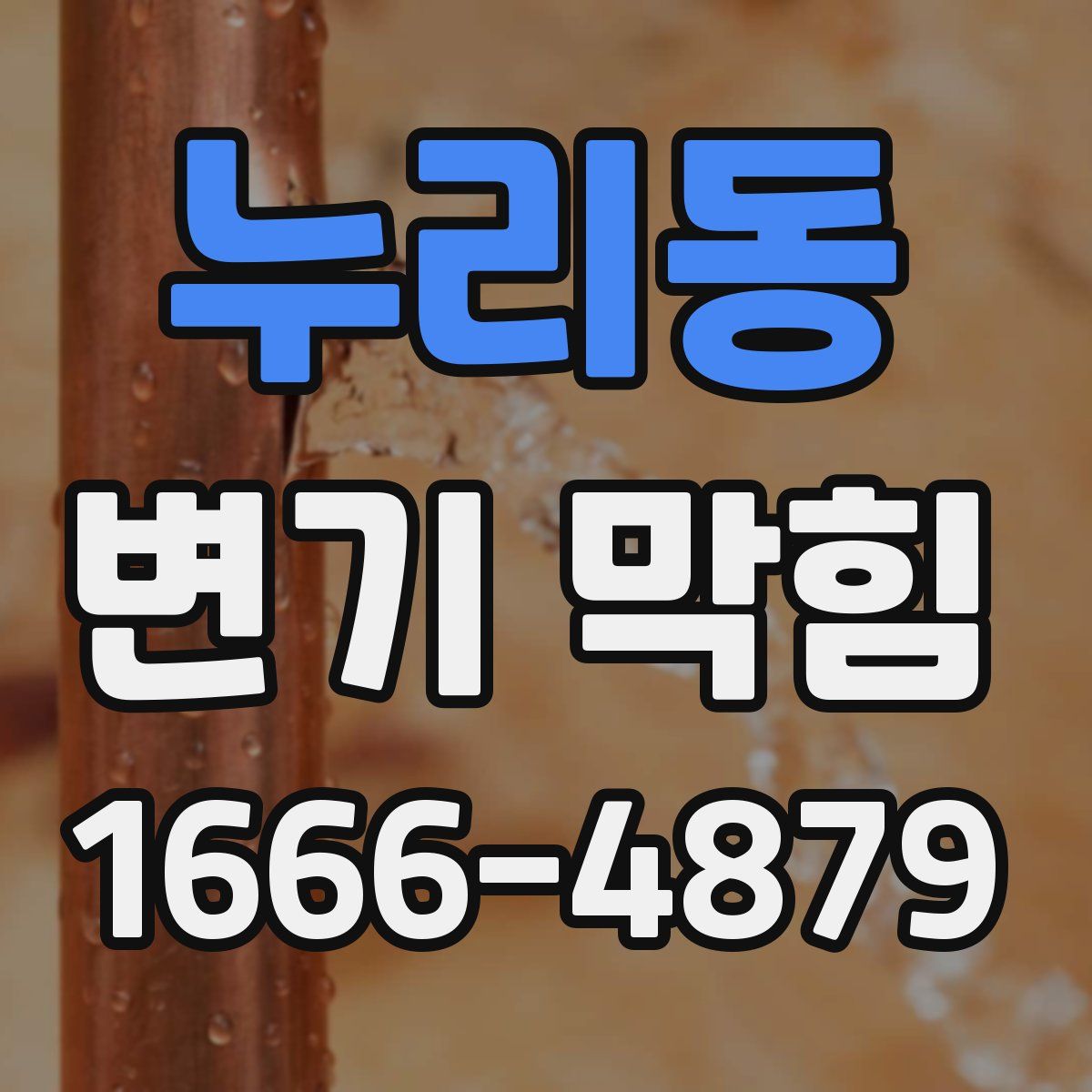 누리동 변기 막힘