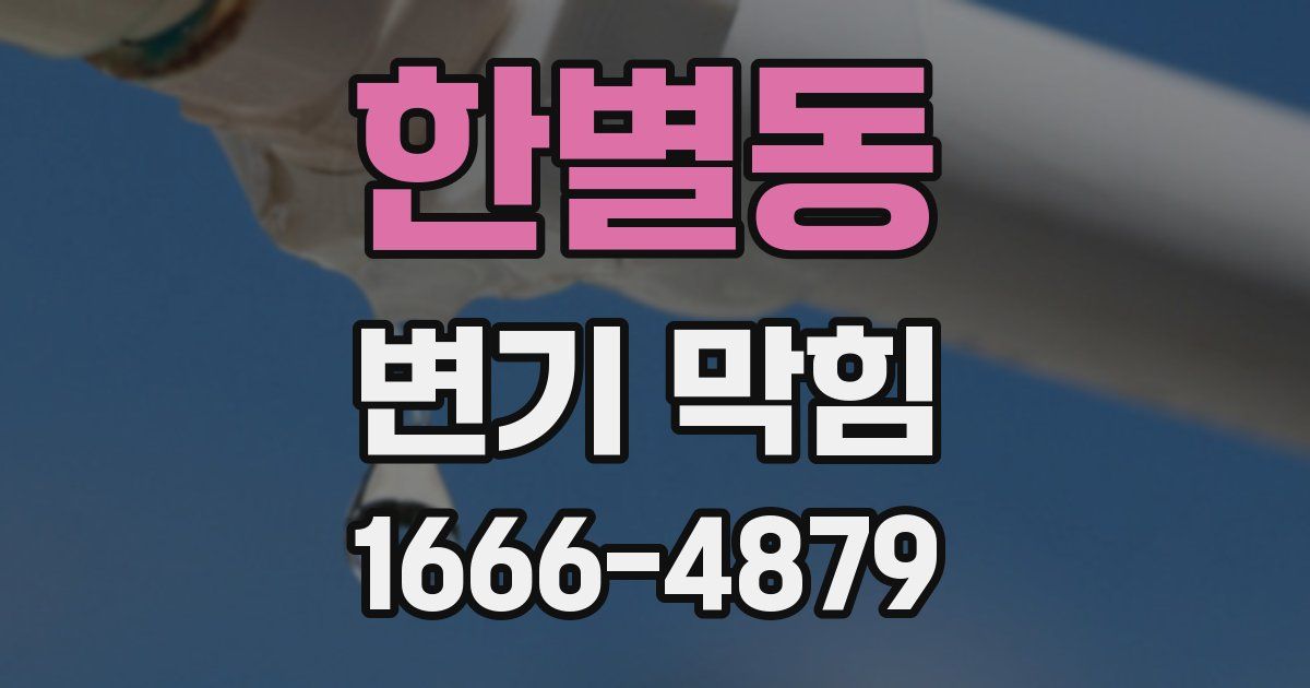 한별동 변기 막힘