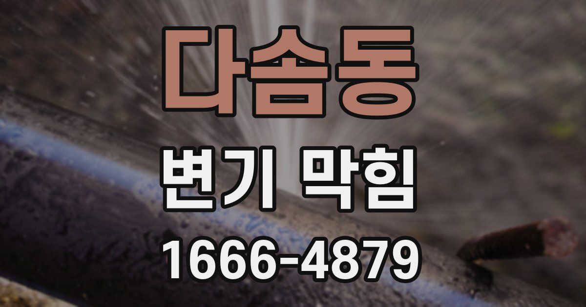 다솜동 변기 막힘